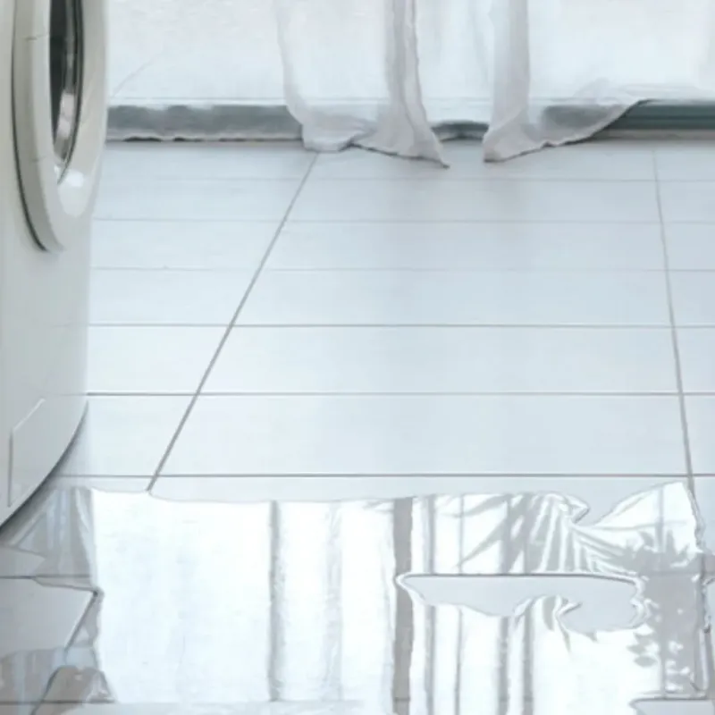 Appliance Leak Cleanup in Louisville, CO